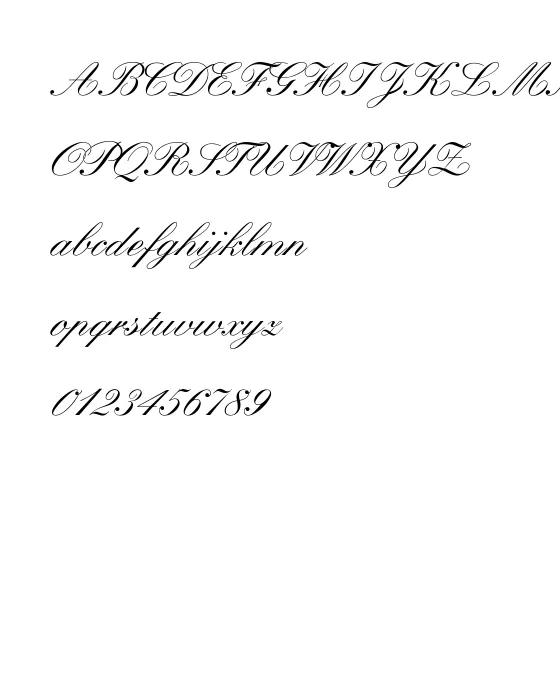 WynnerockScript-Medium.webp