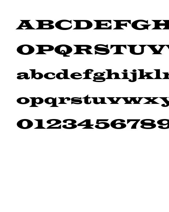 Wide Latin.webp