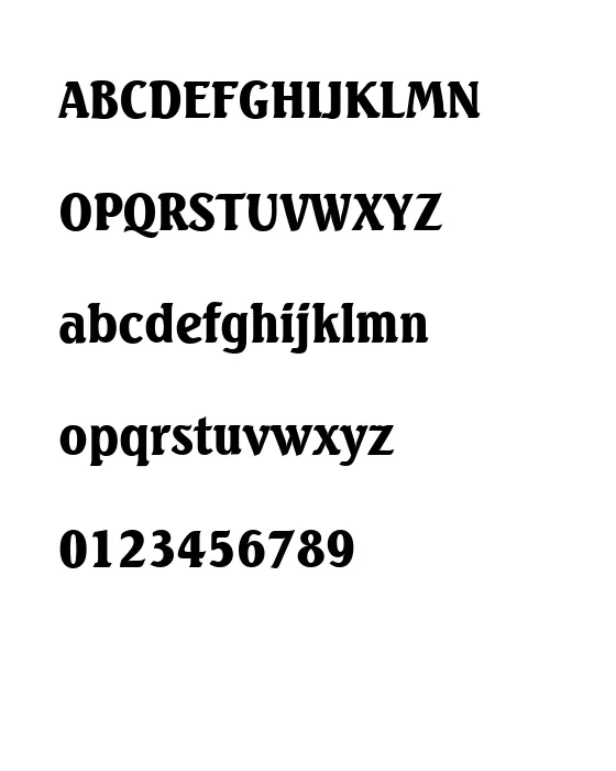 SeagullSerial-Black.webp