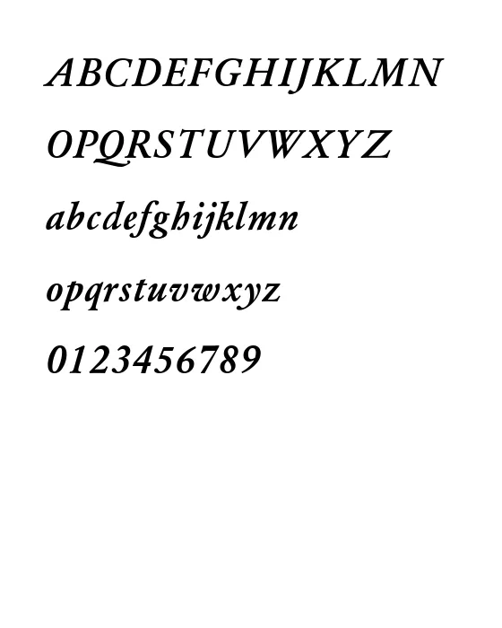YearlindMediu 2.webp