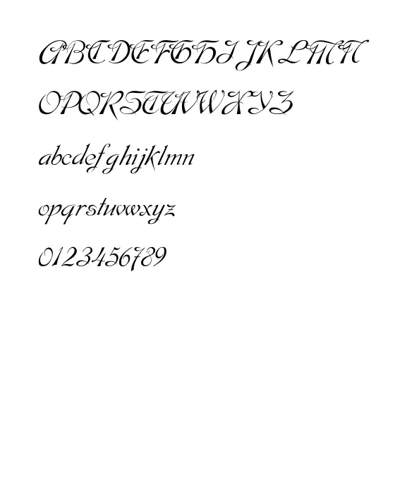 SCRIPT 9.webp