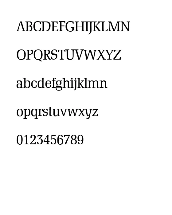 D790-Roman-Regular.webp