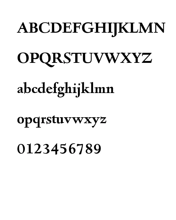 D690-Roman-Bold.webp