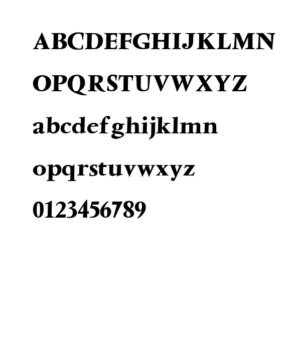 Ventura-Bold.webp