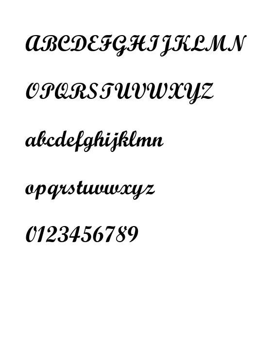Script MT Bold.webp