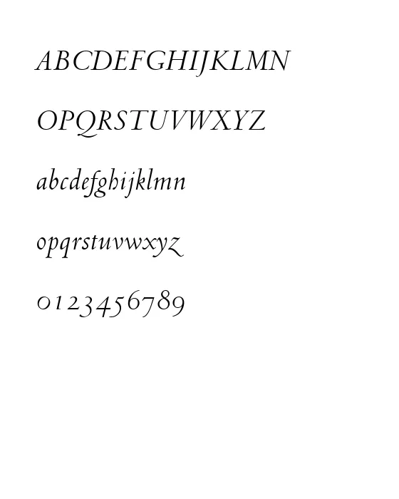 VEN301I.webp