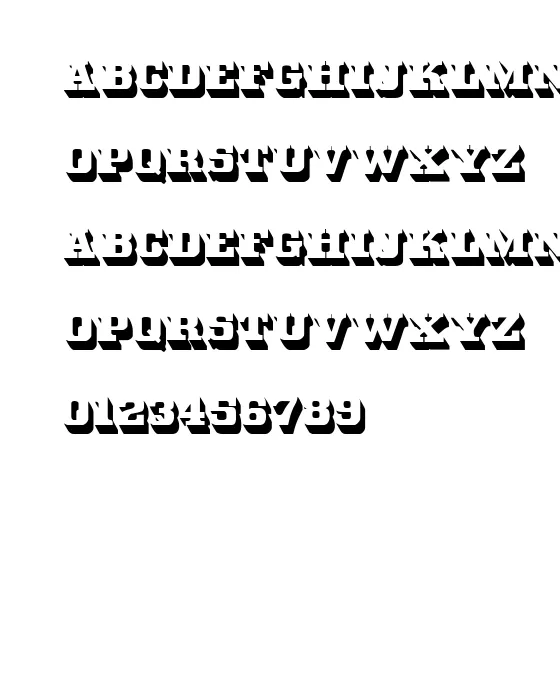 White Bold.webp