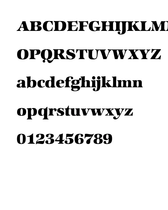 ZabriskieInternational-Heavy.webp