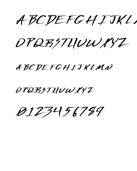 Vecker Wd Bold.webp