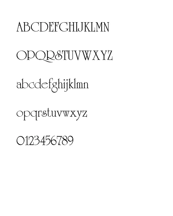 University LT Roman.webp