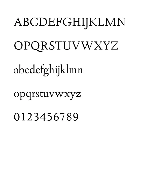 D690-Roman-Regular.webp
