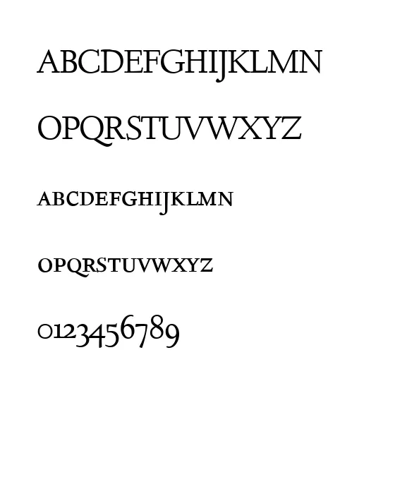 D690-Roman-Smc-Regular.webp