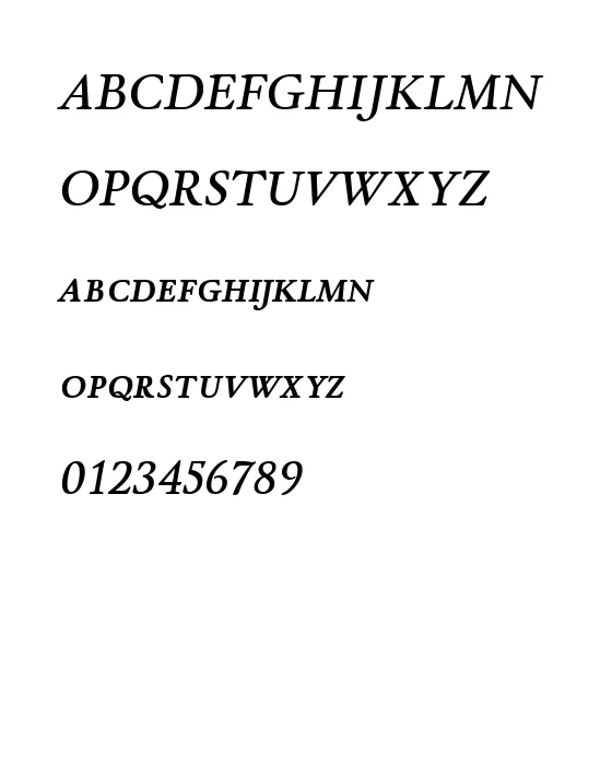 Winthorpe Sc Sb Italic.webp