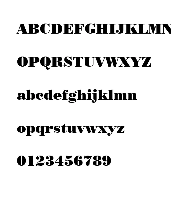 Poster Bodoni Win95BT(1).webp