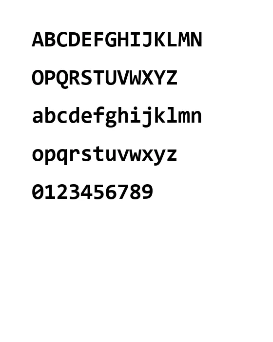 Consolas Bold.webp