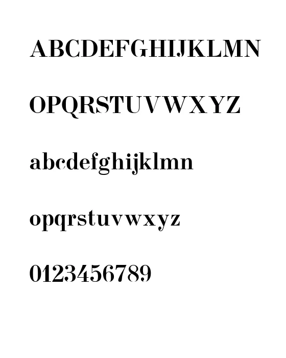 Usual New Bold 001.001.webp