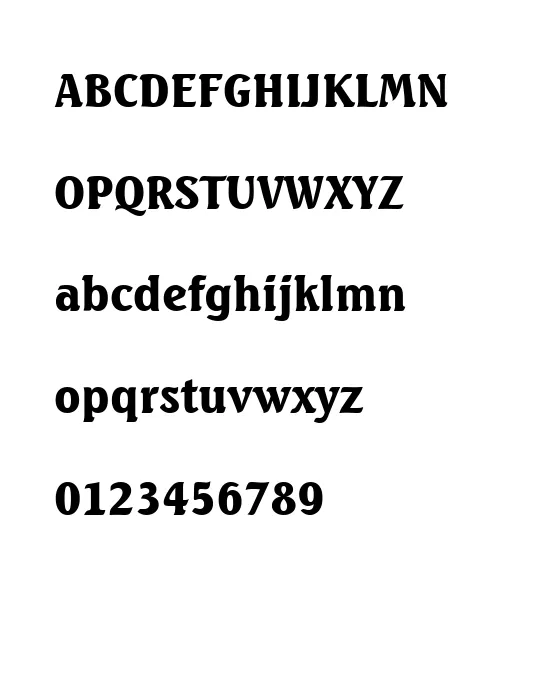 SEAGULLH.webp