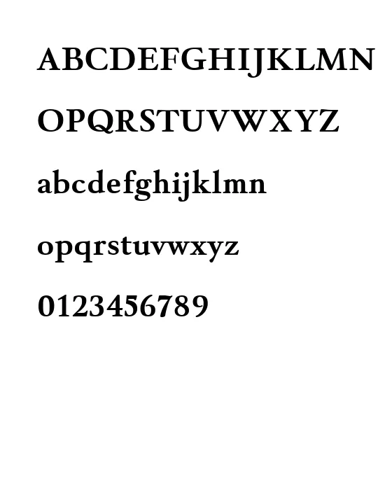 Winthorpe Rg Bold.webp