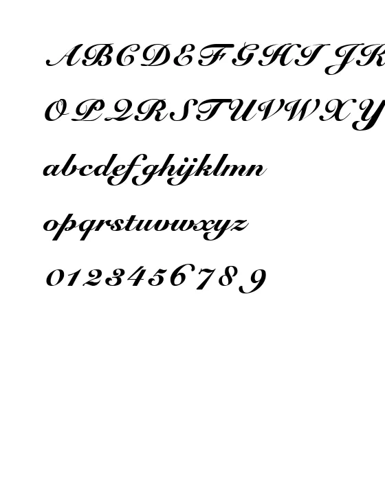 Script Roundhand Normal.webp