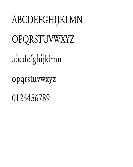 Yearlind-Normal Condensed.webp