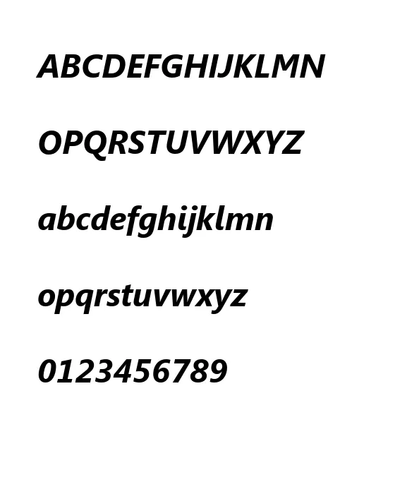Segoe UI Bold Italic.webp