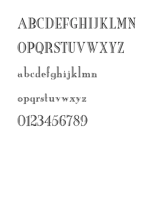 Yankee.webp