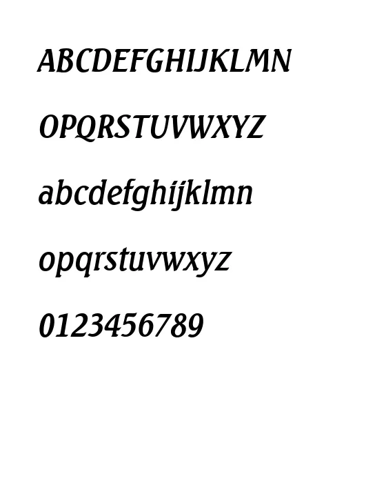 SeagullSerial-Italic.webp