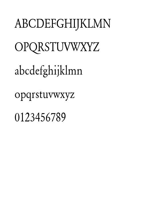 Yearlind-Normal Thin.webp