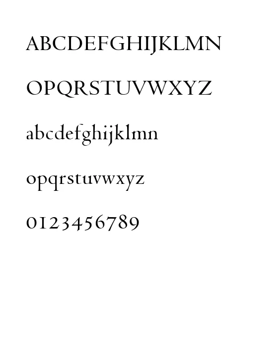 VEN301D.webp