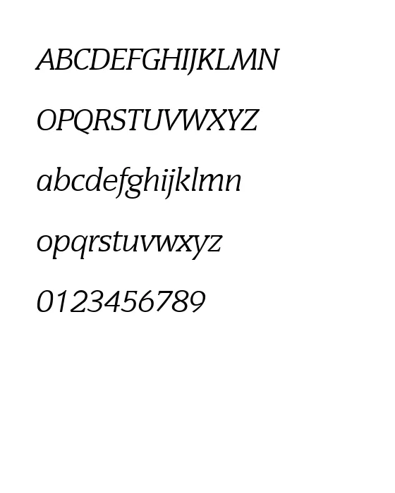 Senate Italic.webp