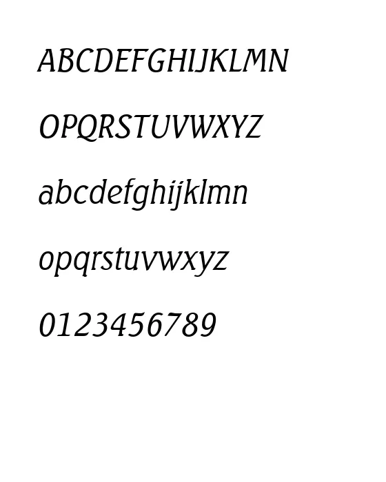 SeagullSerial-LightItalic.webp