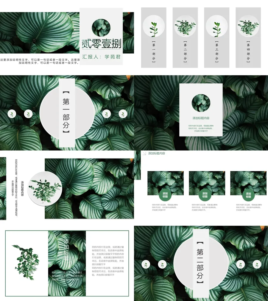 森系PPT (45)-教师用PPTX.webp