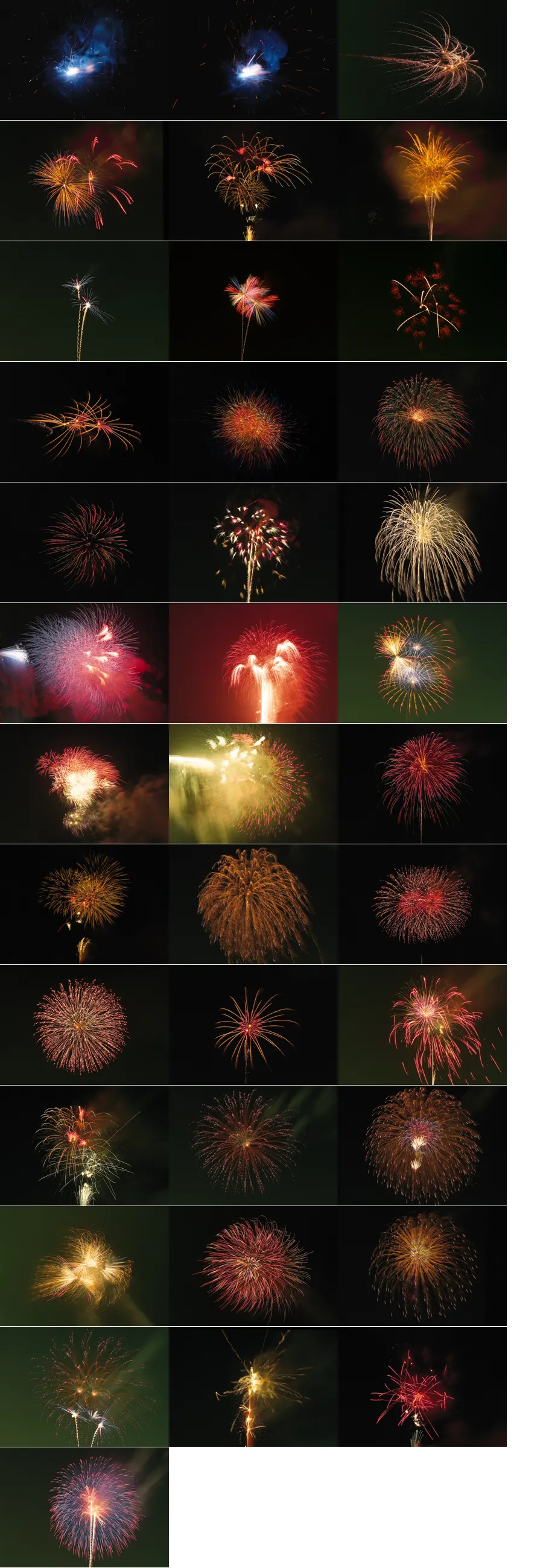 烟花.webp