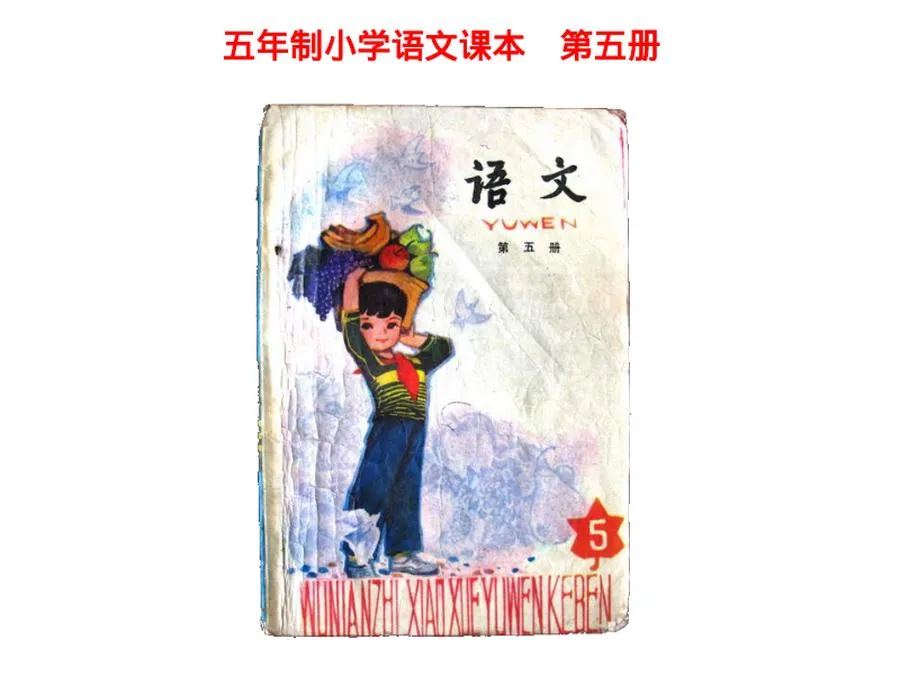 第05册-小学语文课本（五年制）PDF版.webp