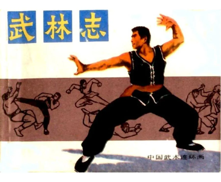 武林志-中国武术连环画（10本）.webp
