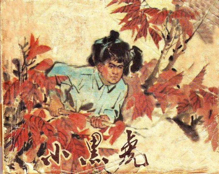 084小黑虎-单双本连环画.webp