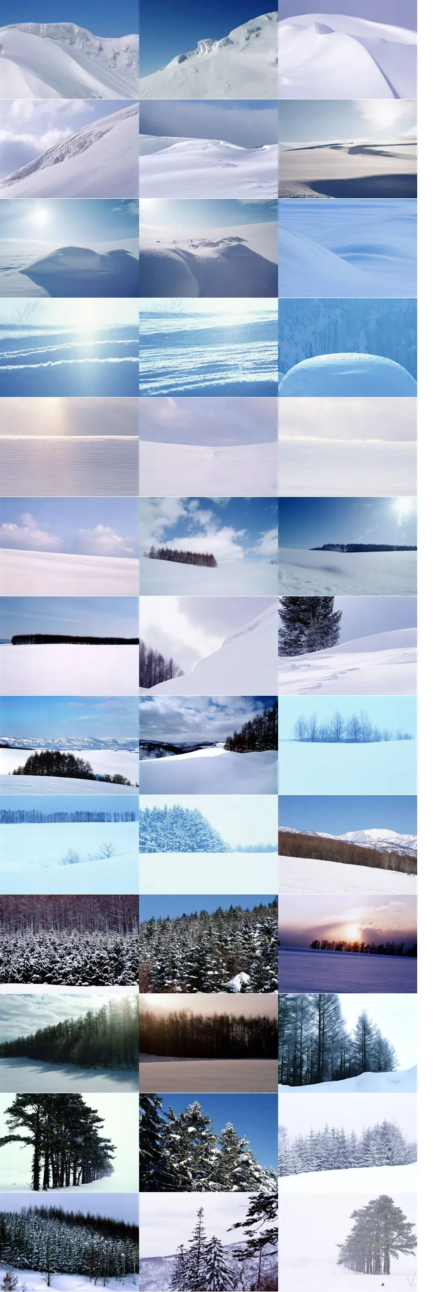 雪景-景物生活植物背景素材.webp