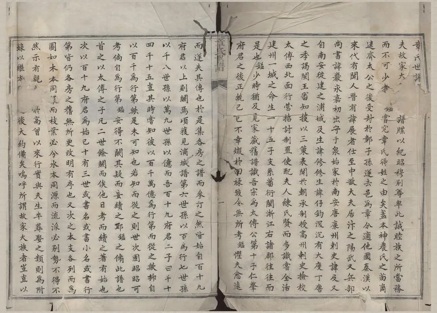 330000-1705-0008586.(浙江鄞縣)章氏世譜不分卷.清抄本.webp
