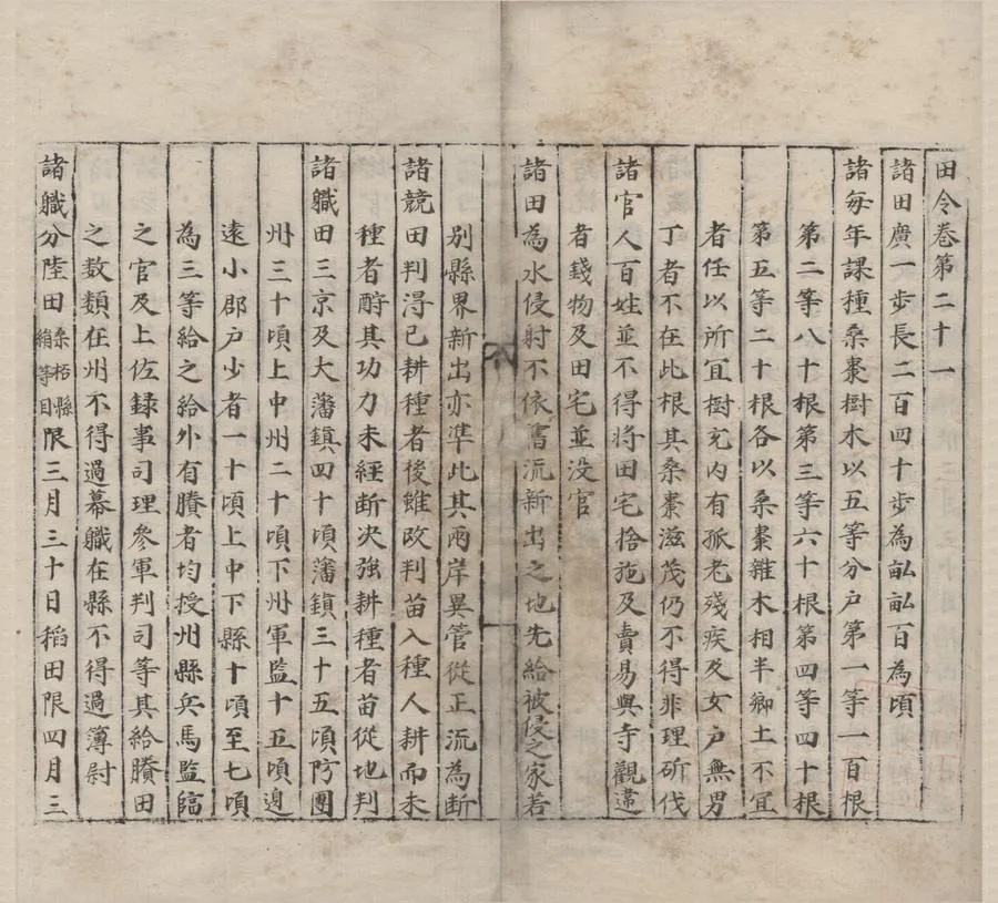 330000-1705-0000006.天聖令三十卷.宋呂夷簡修.宋龐籍修.明抄本.webp