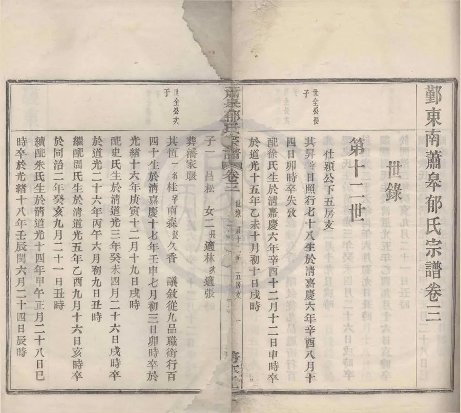 330000-1705-0008416.(浙江鄞縣)鄞東南蕭皋郁氏宗譜五卷.民國佚名撰.民國活字本.webp