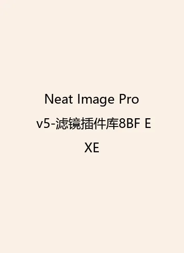 Neat Image Pro v5-滤镜插件库8BF EXE.webp