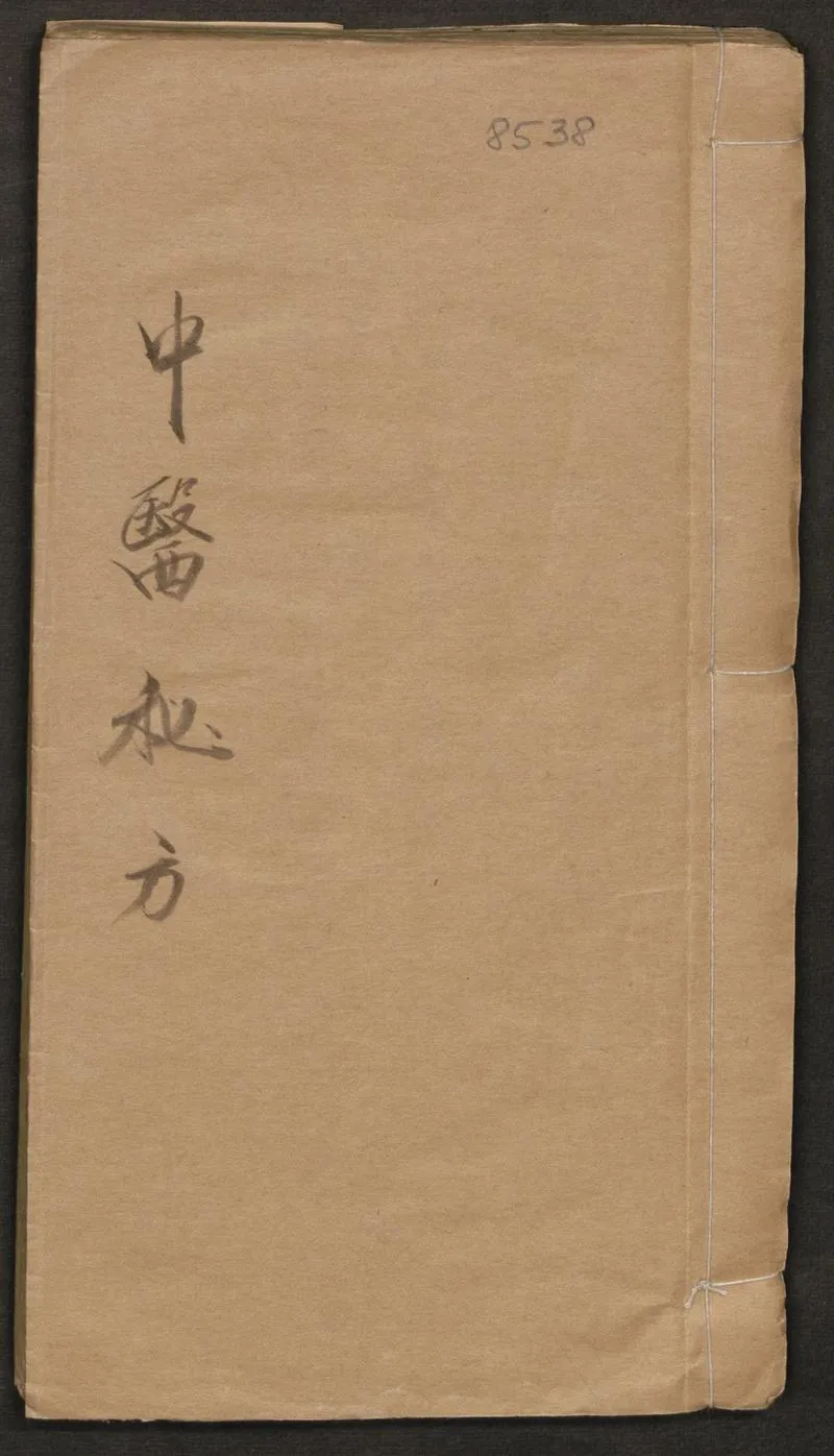 李殿元 中醫秘方_P2.webp