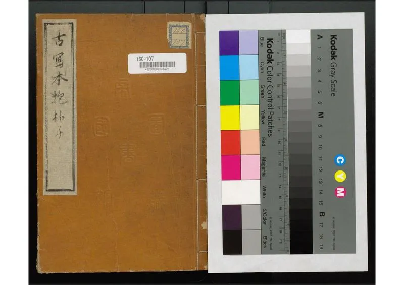 唐代写本抱朴子_P1.webp
