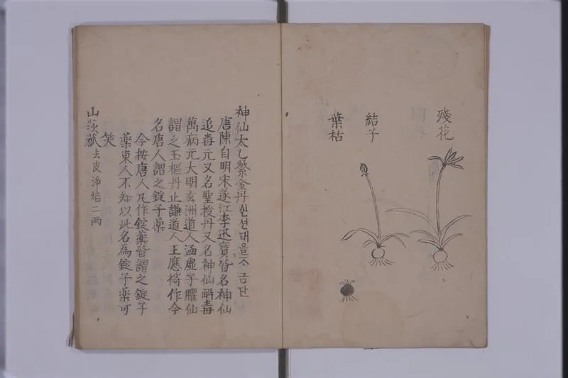 太乙紫金丹方_P3.webp
