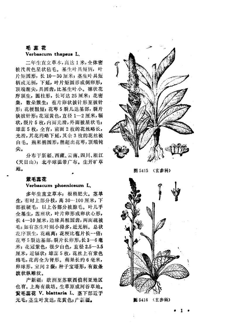 中国高等植物图鉴.第四册_P3.webp