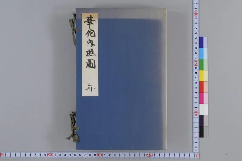 新刻华佗内照图_P1.webp