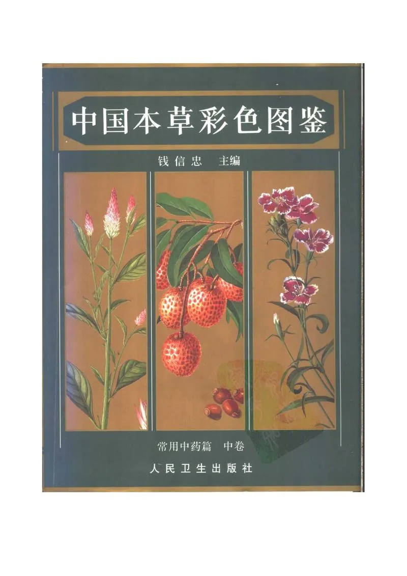 中国本草彩色图鉴（常用中药篇）（中卷）（钱信忠）_P1.webp