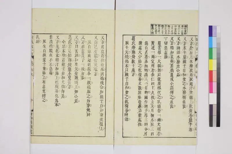 针灸大成2_P3.webp