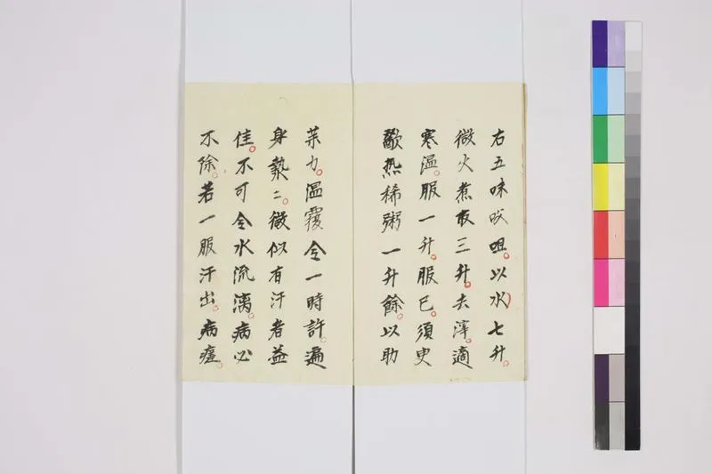 仲景原方_P3.webp