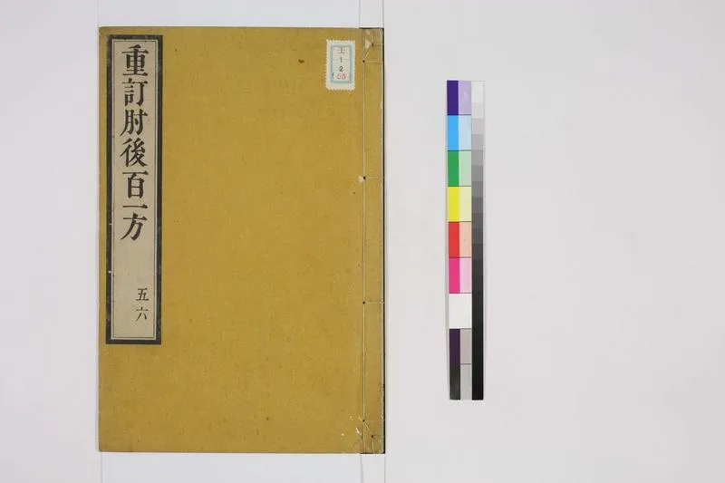 针灸大成2_P1.webp
